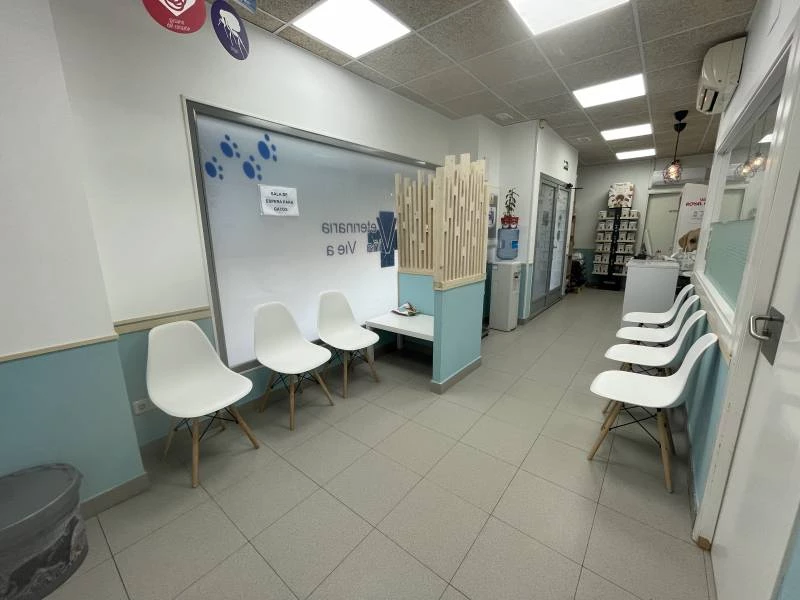 Hospital para perros y gatos en Veterinaria Viñas Viejas