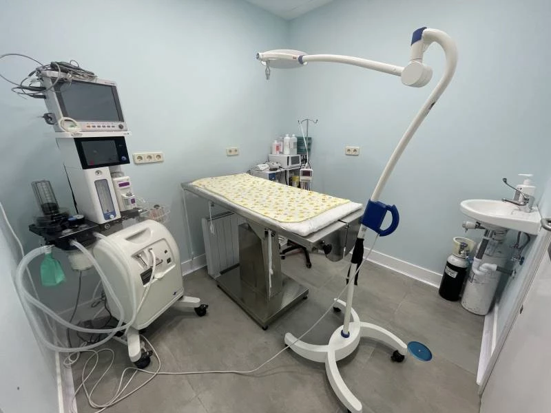 Cirugía veterinaria en Boadilla