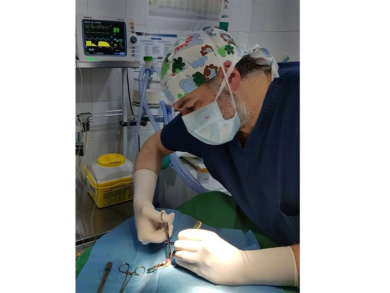 Cirugía, ecografía, radiología veterinaria