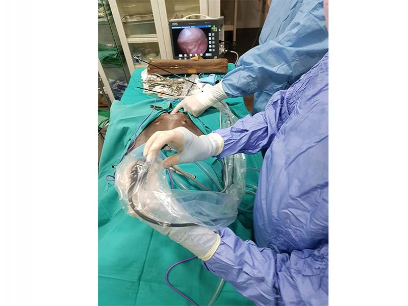 Odontología, planes de salud, chequeos veterinarios...