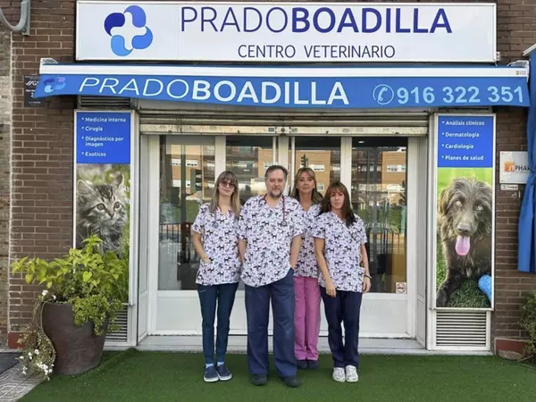 PRADO DE BOADILLA CENTRO VETERINARIO