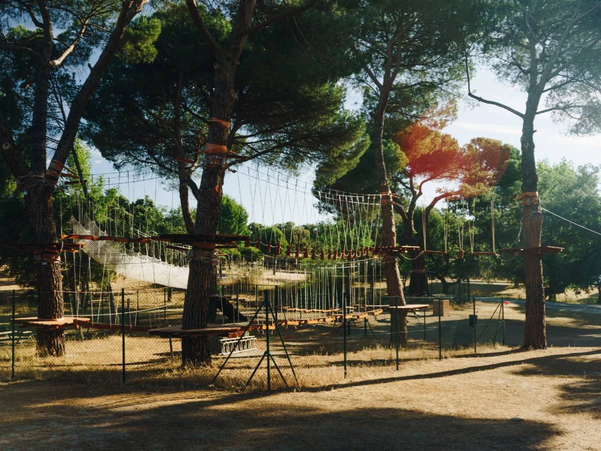 Campamentos de verano urbanos o internos