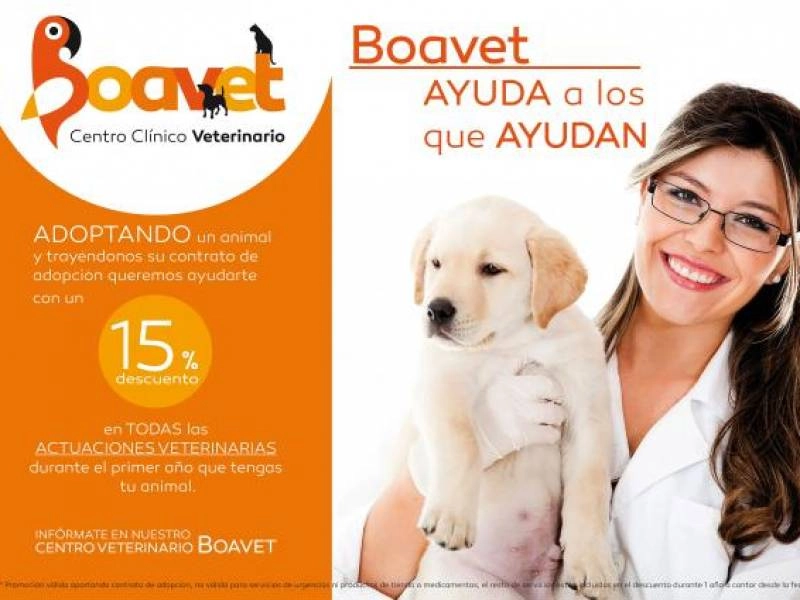 15% servicio veterinario