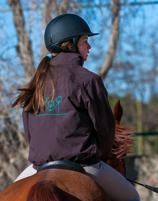 Paseos a caballo y poni