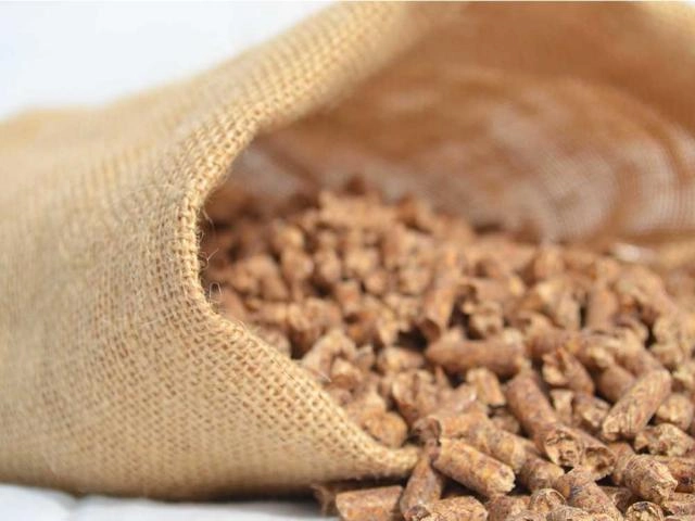 Pellets con certificado EN PLUS A1