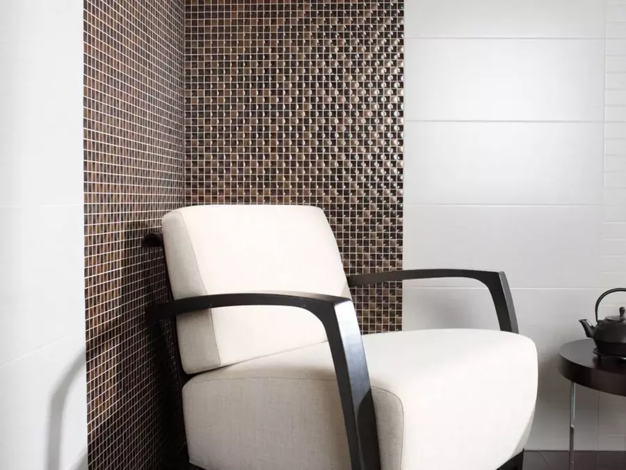 ÚLTIMAS UNIDADES: AZULEJO ELEMENT MARRÓN 20*30