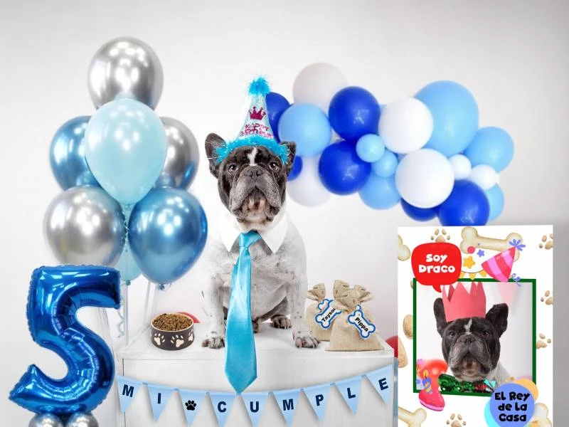 Cumpleaños para mascotas en pozuelo