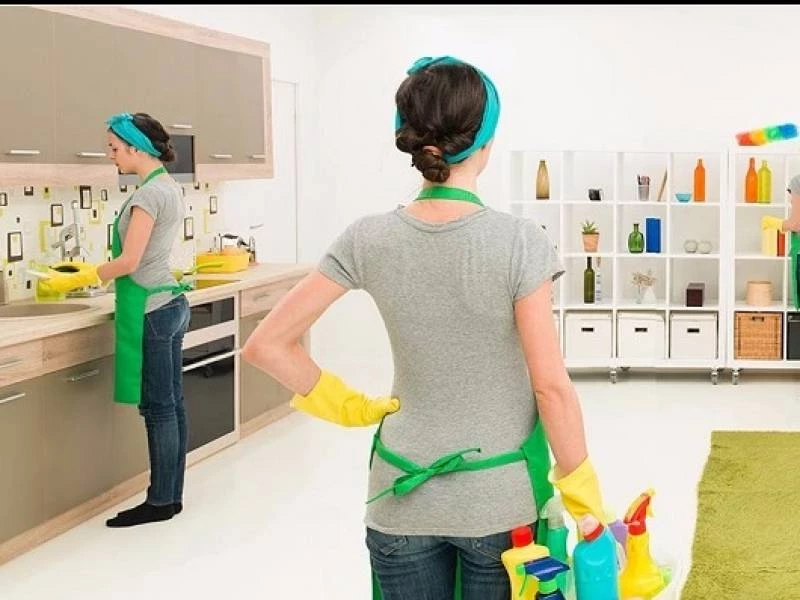 Servicio Doméstico en Las Rozas