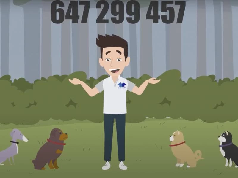 Noblecan el mejor adiestramiento para tu mascota