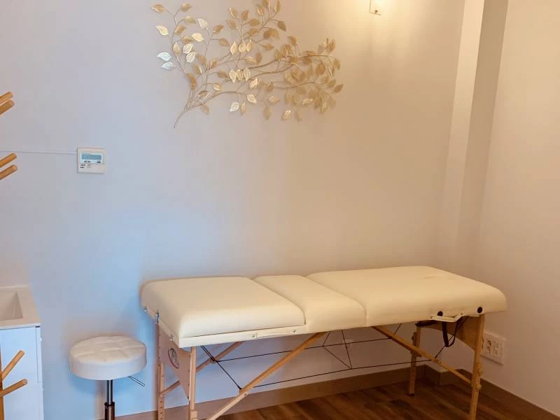 Fisioterapia y Acupuntura en el Instituto Holístico del Bienestar