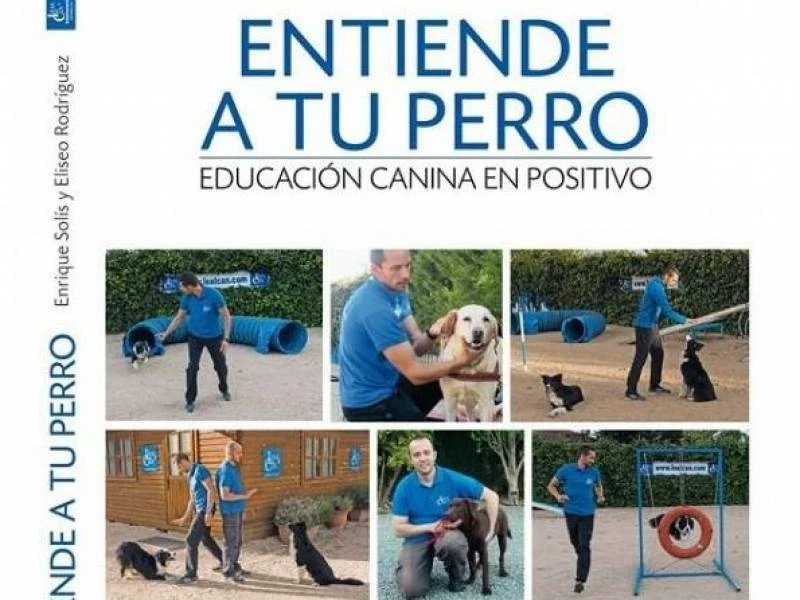 Pre-adiestramiento de cachorros en LealCan Adiestramiento