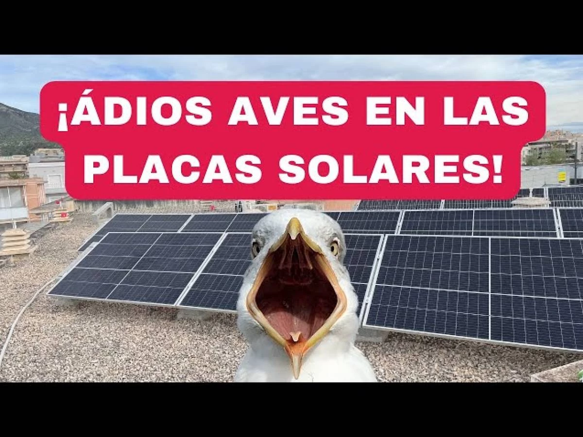 Desde 699€