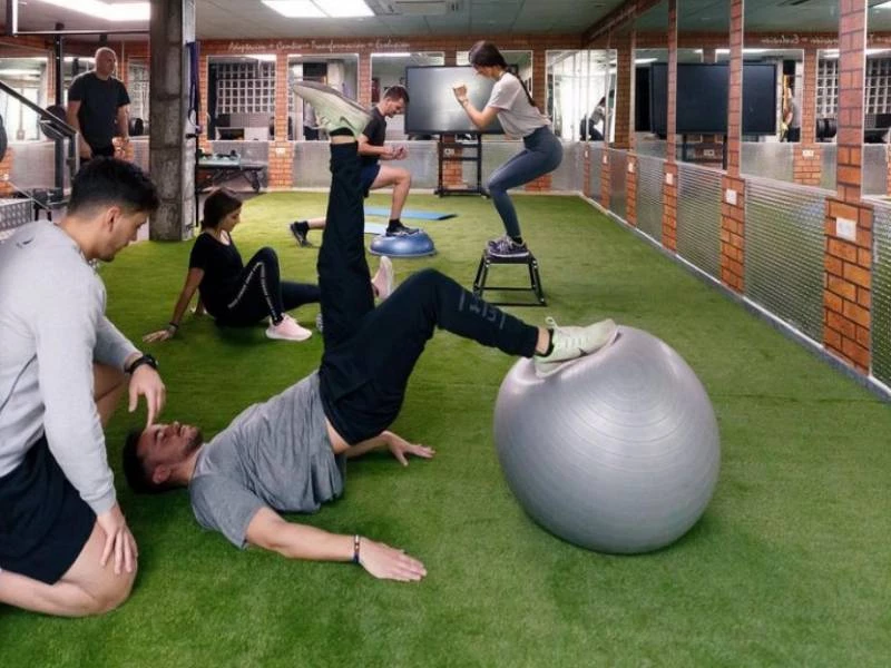 Recuperación de lesiones en Functional Recovery