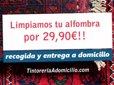 Limpieza de Alfombras a domicilio