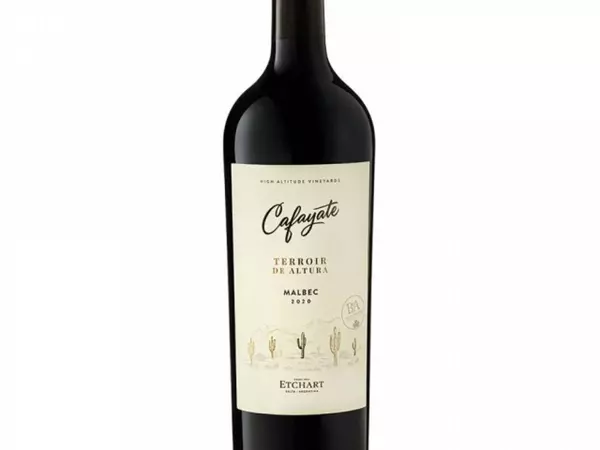 -15% Caja de 6 botellas Cafayate Terroir Malbec
