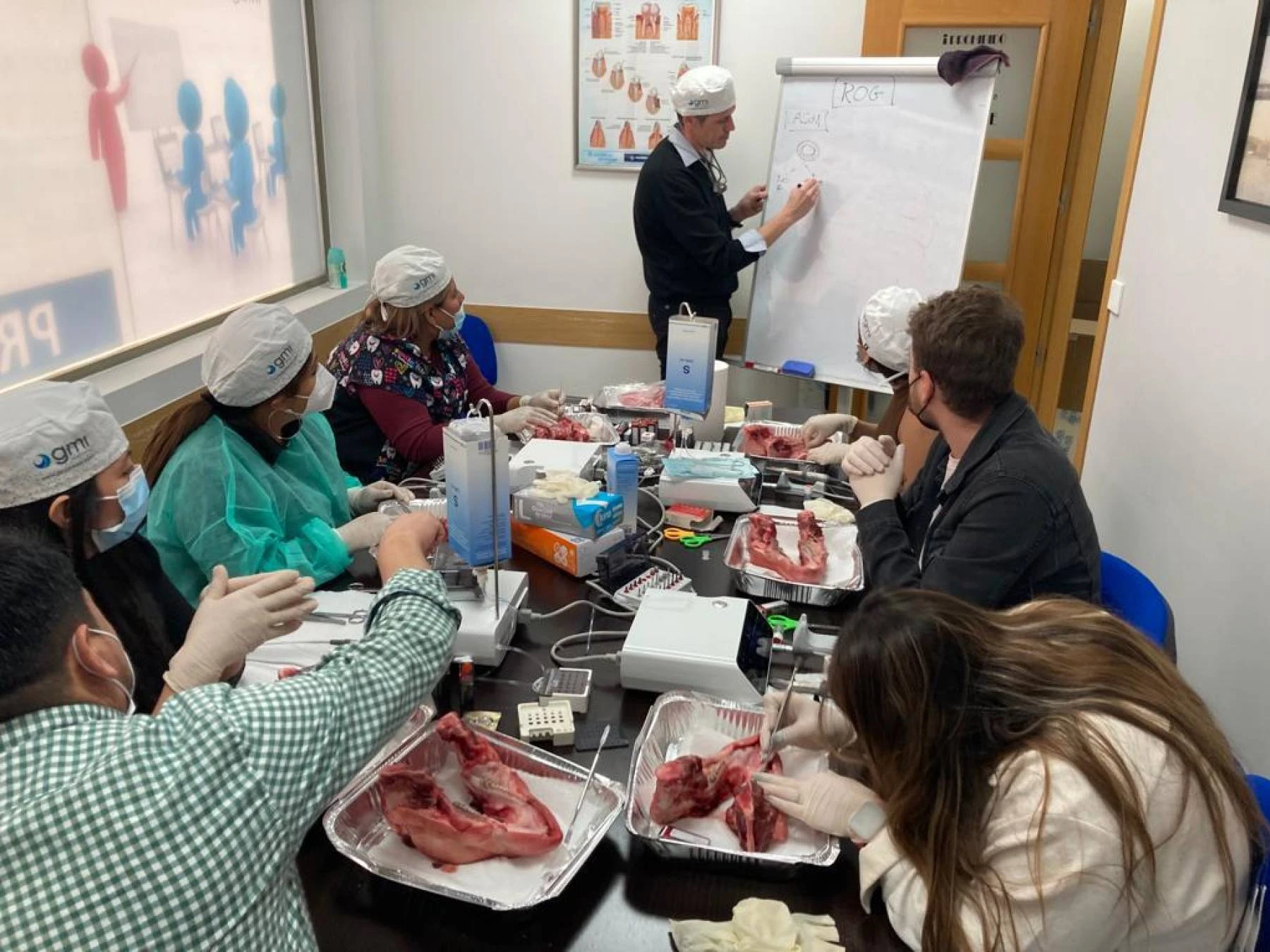 Curso Auxiliar de Veterinaria