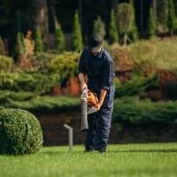 Jardinería