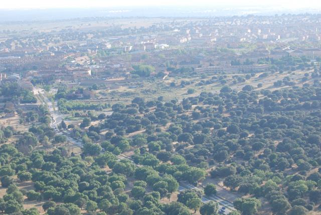 La Comunidad de Madrid acomete labores de poda selectiva y resalveo en el Monte Sur de Las Encinas