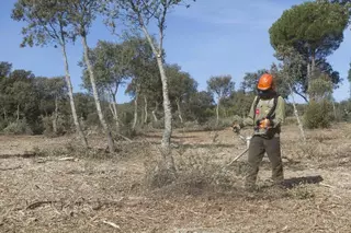 Continúan las labores de prevención de incendios en nuestro monte