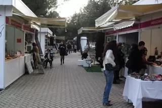 UPyD propone crear un mercadillo dominical del coleccionismo de calidad y organizar exposiciones y actividades de interés real