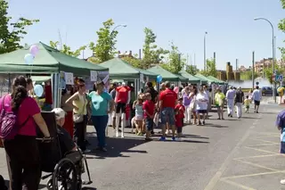 23 entidades participan en la tercera edición de la Feria de Asociaciones de Boadilla