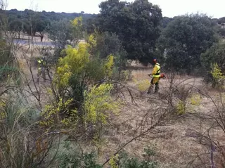 El Ayuntamiento de Boadilla niega que haya riesgo extremo de incendio en el monte