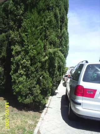 El Alcalde de Boadilla no vela por la seguridad de sus vecinos.
