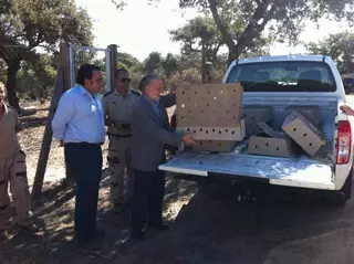 80 perdices nuevas enriquecen la biodiversidad del Monte de  Boadilla