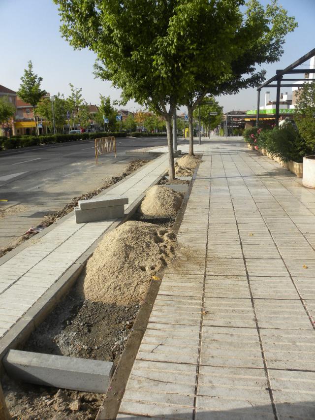 Obras de acondicionamiento en la Avenida Infante Don Luis