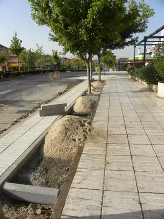 Obras de acondicionamiento en la Avenida Infante Don Luis