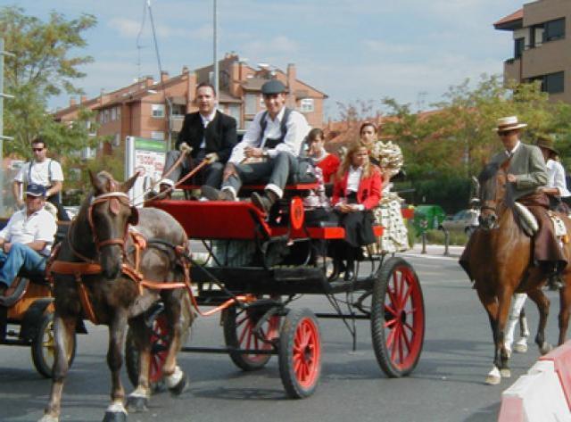 El sábado se celebra la X Fiesta del Caballo de Boadilla del Monte