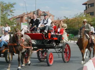 El sábado se celebra la X Fiesta del Caballo de Boadilla del Monte