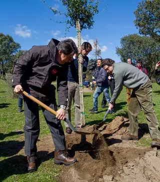 El presidente de la Comunidad de Madrid participa en una reforestación en la finca La Milagrosa de Boadilla