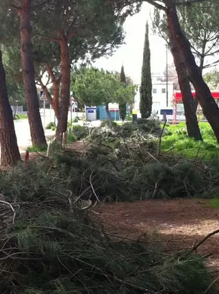 Los restos de poda siguen abandonados en el suelo después de más de dos semanas