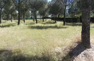 Alternativa por Boadilla pide la creación de un parque de ocio saludable en la urbanización Parque Boadilla