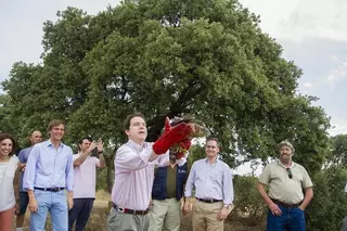El Monte de Boadilla se convierte en una de las zonas con mayor densidad de rapaces