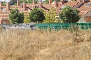 El Ayuntamiento elimina los grafitis de los paneles acústicos de la M-50 a su paso por Boadilla