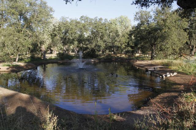 Ayto: "Actuaciones de conservación en la Vega del Arroyo de la Fresneda"
