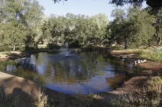 Ayto: "Actuaciones de conservación en la Vega del Arroyo de la Fresneda"
