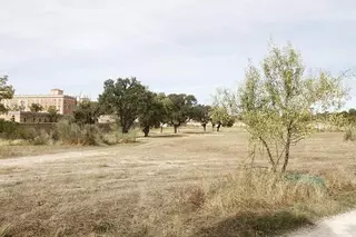 El Ayuntamiento de Boadilla tiene previsto reforestar el Nacedero para incorporarlo al Monte