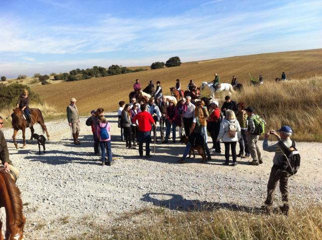 La asociación 'Ciudadanos por los Caminos' inicia su andadura en Boadilla del Monte
