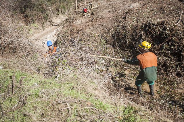 Nuevo área cortafuegos en el Monte, en su linde con Prado Largo