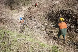 Nuevo área cortafuegos en el Monte, en su linde con Prado Largo