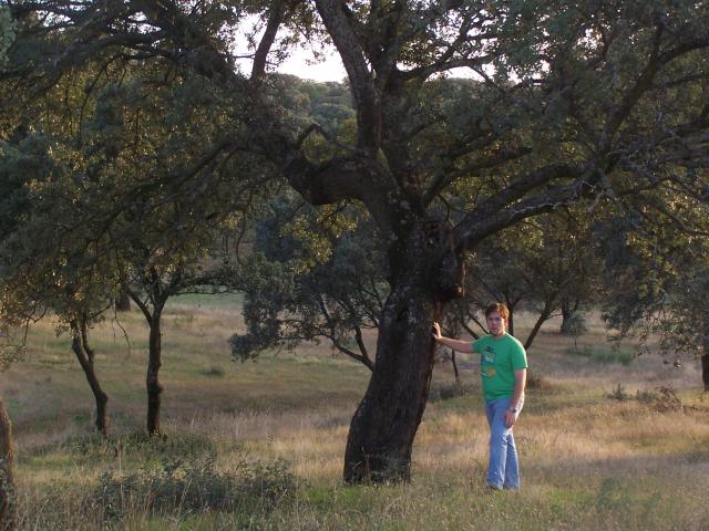 Las Juventudes Socialistas de Boadilla del Monte recurren la utilización de suelo público para la construcción de una residencia privada de lujo.