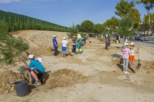 El Ayuntamiento reforesta la zona de Manuel de Falla para terminar de recuperar este entorno