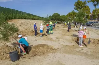 El Ayuntamiento reforesta la zona de Manuel de Falla para terminar de recuperar este entorno