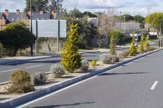 El Ayuntamiento acomete obras de reajardinamiento en la mediana de la Avenida de Montepríncipe