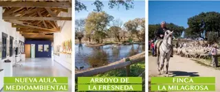 Boadilla celebra este sábado la jornada Naturaleza en Familia