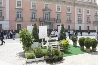 Boadilla acoge desde hoy la Feria Internacional de Horticultura y Jardinería PLANTA Palacio