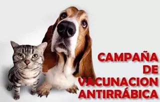 Comienza la Campaña de Vacunación e Identificación de animales domésticos